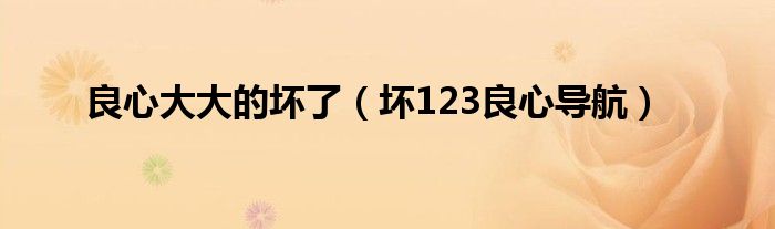 良心大大的坏了（坏123良心导航）