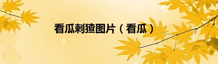 看瓜刺猹图片（看瓜）