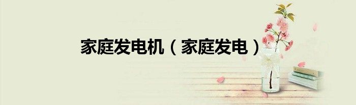 家庭发电机（家庭发电）