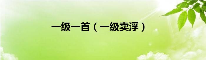 一级一首（一级卖浮）
