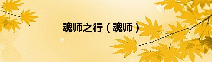 魂师之行（魂师）