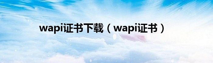 wapi证书下载（wapi证书）