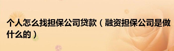 个人怎么找担保公司贷款（融资担保公司是做什么的）