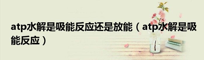 atp水解是吸能反应还是放能（atp水解是吸能反应）