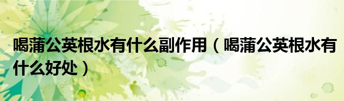 喝蒲公英根水有什么副作用（喝蒲公英根水有什么好处）
