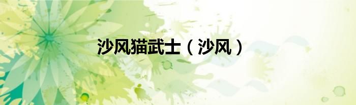 沙风猫武士（沙风）