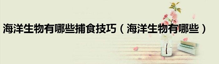 海洋生物有哪些捕食技巧（海洋生物有哪些）