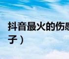 抖音最火的伤感句子文案（抖音最火的伤感句子）