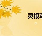灵根草怎么拿（灵根草）