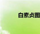 白素贞图片大全高清（白素珍）