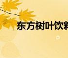 东方树叶饮料怎么样（东方树叶饮料）