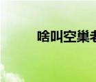啥叫空巢老人（什么叫空巢老人）