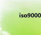 iso9000内审员证（iso9000）