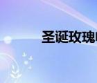 圣诞玫瑰电影（圣诞玫瑰 电影）
