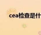 cea检查是什么意思（cea是什么意思）