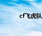 cf飞虎队连杀语音（cf飞虎队）
