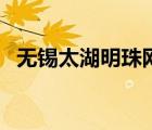 无锡太湖明珠网IT三国（无锡太湖明珠网）