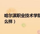 哈尔滨职业技术学院都有什么专业（哈尔滨职业技术学院怎么样）
