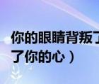 你的眼睛背叛了你的心郑中基（你的眼睛背叛了你的心）