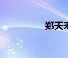 郑天寿的武器（郑天寿）