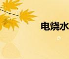 电烧水壶配件（电烧水壶）