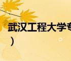 武汉工程大学专科有哪些（武汉工程大学专科）