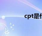 cpt是什么条款（cpt条款）