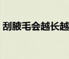 刮腋毛会越长越多吗（腋毛越刮越多怎么办）
