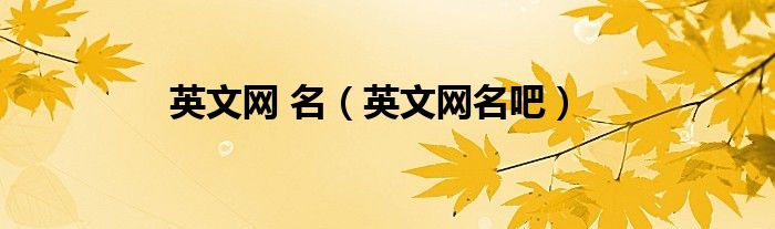 英文网 名（英文网名吧）