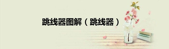 跳线器图解（跳线器）