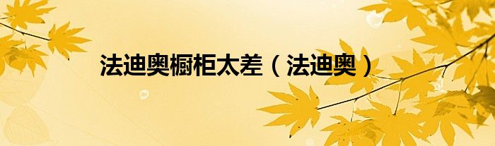 法迪奥橱柜太差（法迪奥）