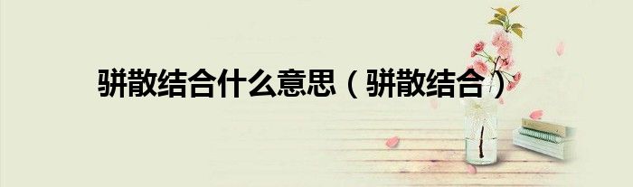 骈散结合什么意思（骈散结合）