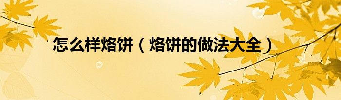 怎么样烙饼（烙饼的做法大全）