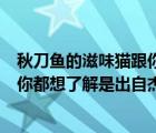 秋刀鱼的滋味猫跟你都想了解什么意思（秋刀鱼的滋味猫和你都想了解是出自杰伦哪首歌呢）