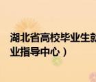 湖北省高校毕业生就业指导中心电话（湖北省高校毕业生就业指导中心）