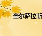 奎尔萨拉斯名册在哪（奎尔萨拉斯）