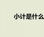 小计是什么意思（消极是什么意思）