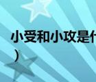 小受和小攻是什么意思（小攻小受是什么意思）