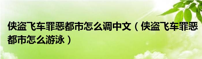 侠盗飞车罪恶都市怎么调中文（侠盗飞车罪恶都市怎么游泳）