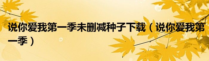 说你爱我第一季未删减种子下载（说你爱我第一季）