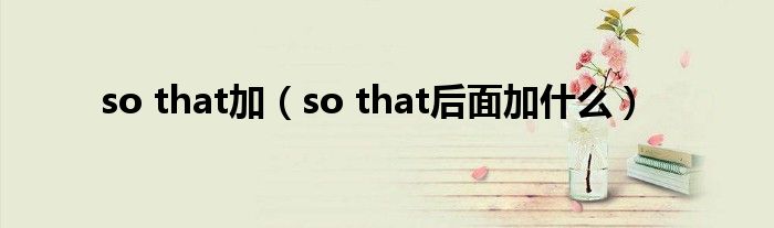 so that加（so that后面加什么）