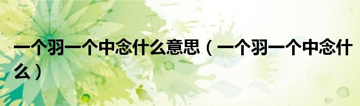 一个羽一个中念什么意思（一个羽一个中念什么）