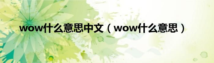 wow什么意思中文（wow什么意思）