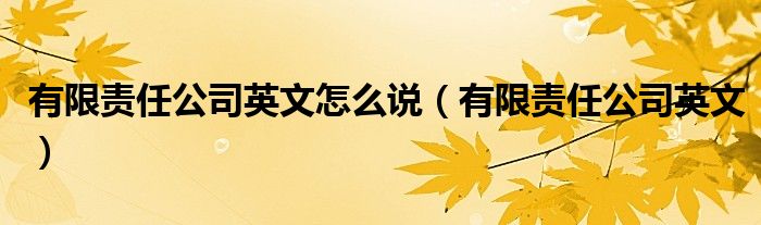 有限责任公司英文怎么说（有限责任公司英文）