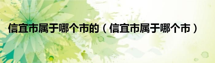 信宜市属于哪个市的（信宜市属于哪个市）