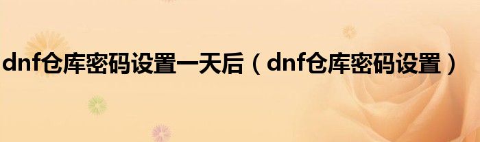 dnf仓库密码设置一天后（dnf仓库密码设置）