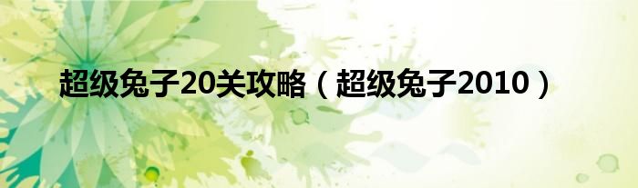 超级兔子20关攻略（超级兔子2010）