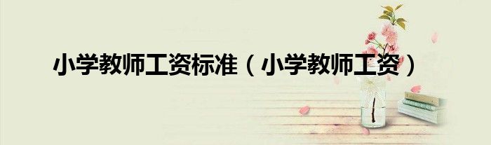 小学教师工资标准（小学教师工资）