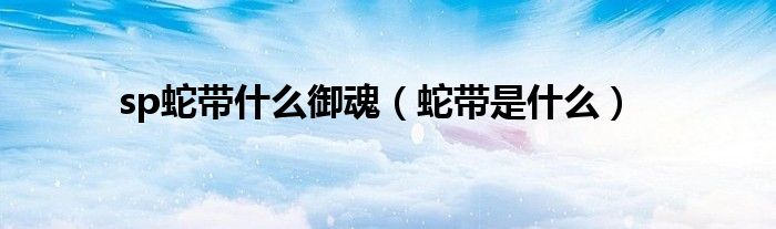 sp蛇带什么御魂（蛇带是什么）