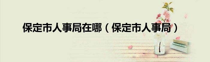 保定市人事局在哪（保定市人事局）